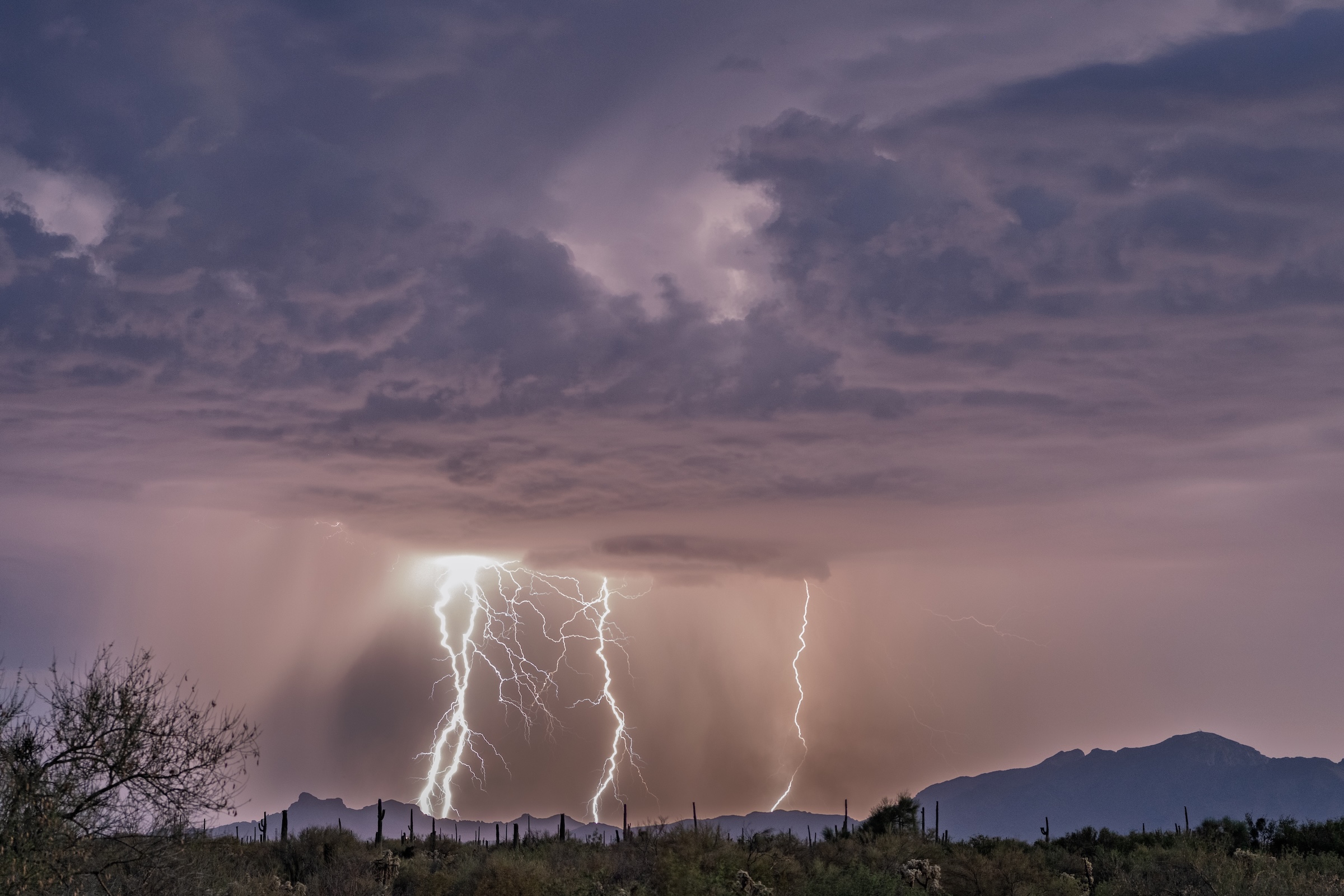 Arizona desert landscape beneath dramatic monsoon skies